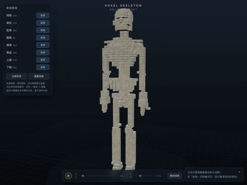 体素风格的人体骨架三维模型